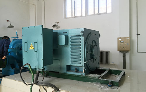 Y8007-4某水电站工程主水泵使用我公司高压电机生产厂家