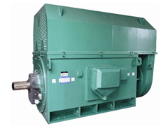 Y8007-4Y系列6KV高压电机