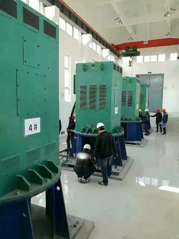 Y8007-4某污水处理厂使用我厂的立式高压电机安装现场